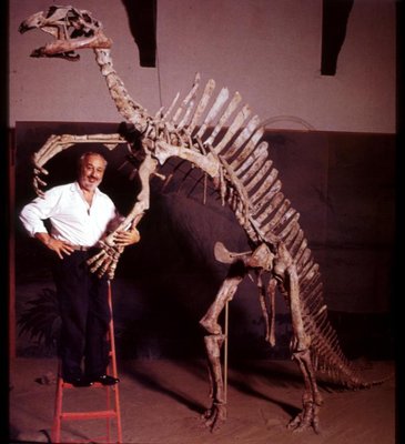 베네치아 자연사 박물관 잔카를로 리가부에 (폰다코 데이 투르키)